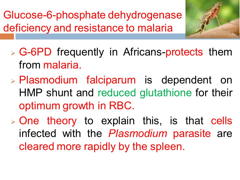 Phosphate dehydrogenase deficiency disease essay